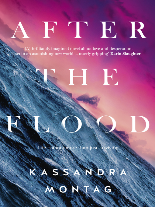 Cover image for After the Flood